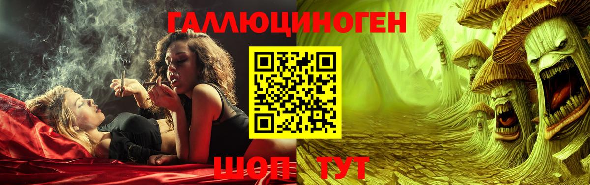 Гатчина  Псилоцибиновые грибы GOLDEN TEACHER  Вход с VPN 